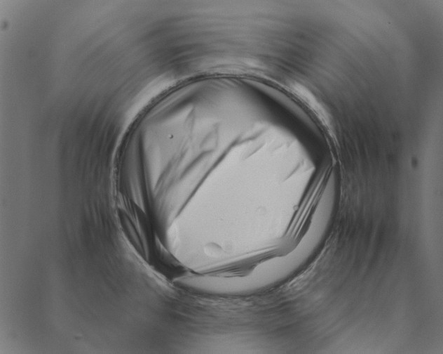 X0000087391384200705181256