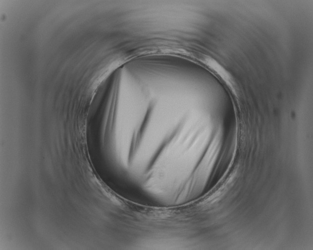 X0000087391385200705181256