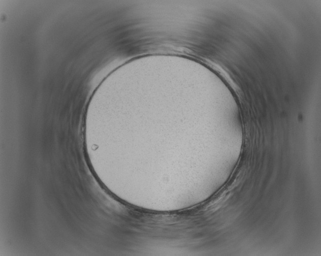 X0000087391387200705181256