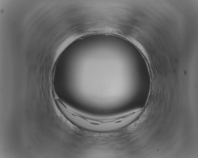 X0000087391389200705181256