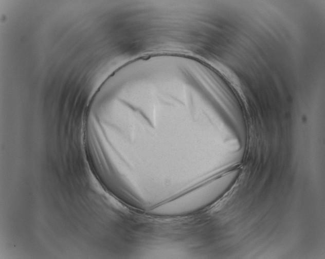 X0000087391390200705181256