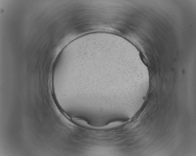 X0000087391391200705181256