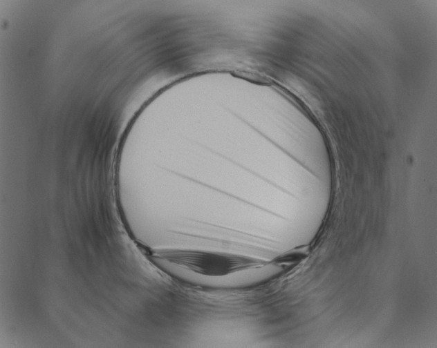 X0000087391392200705181256