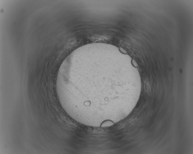 X0000087391393200705181255