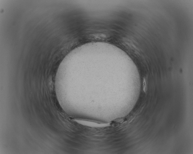 X0000087391395200705181255