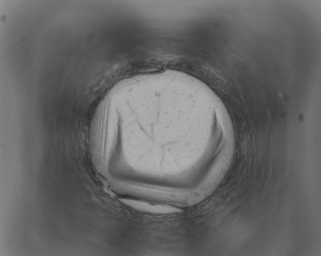 X0000087391397200705181255