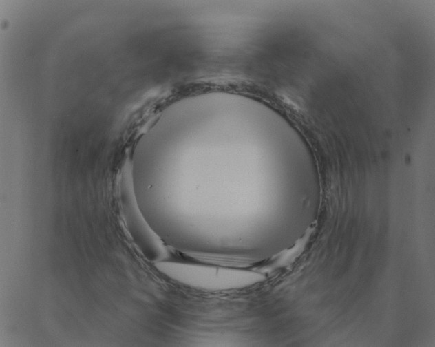 X0000087391398200705181255