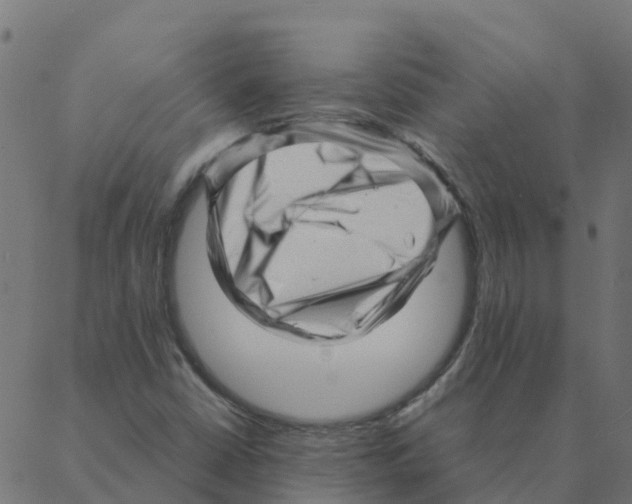 X0000087391402200705181255