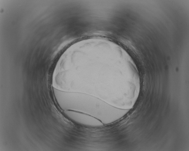 X0000087391404200705181256