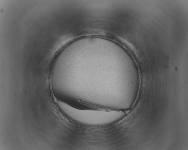 X0000087391407200705181256