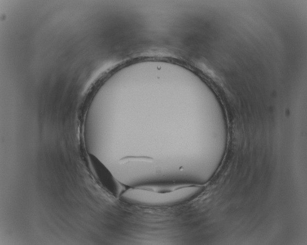 X0000087391408200705181256