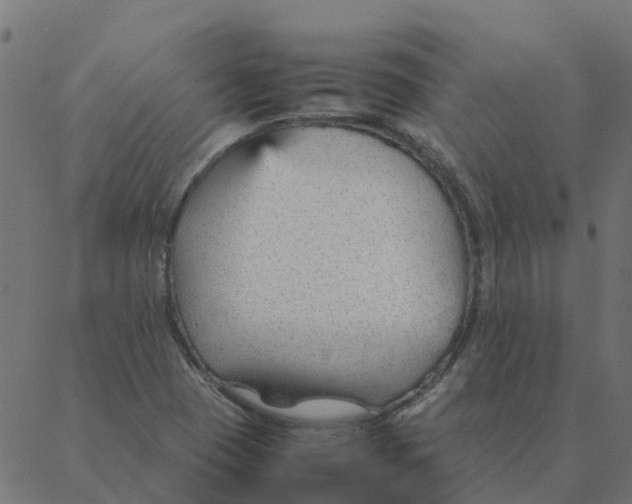 X0000087391409200705181256