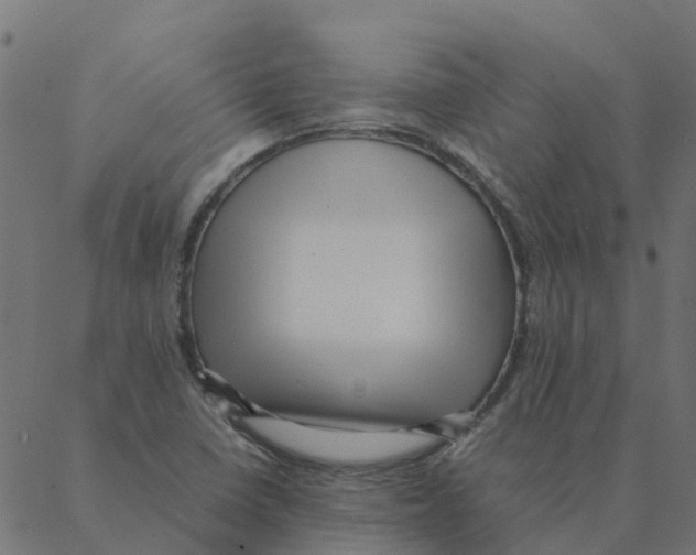 X0000087391410200705181256