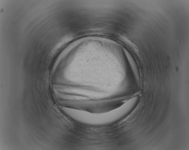 X0000087391411200705181256