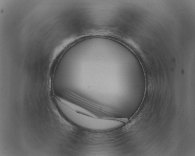 X0000087391414200705181256