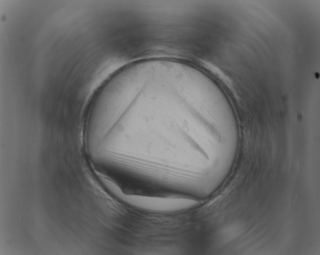 X0000087391415200705181256