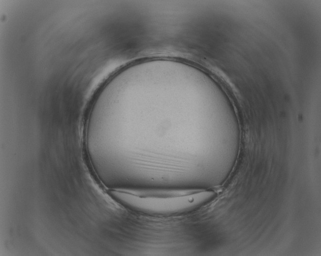 X0000087391416200705181256