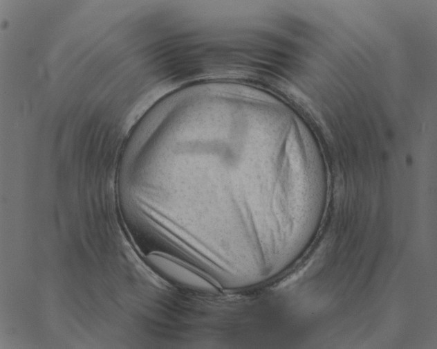 X0000087391417200705181256