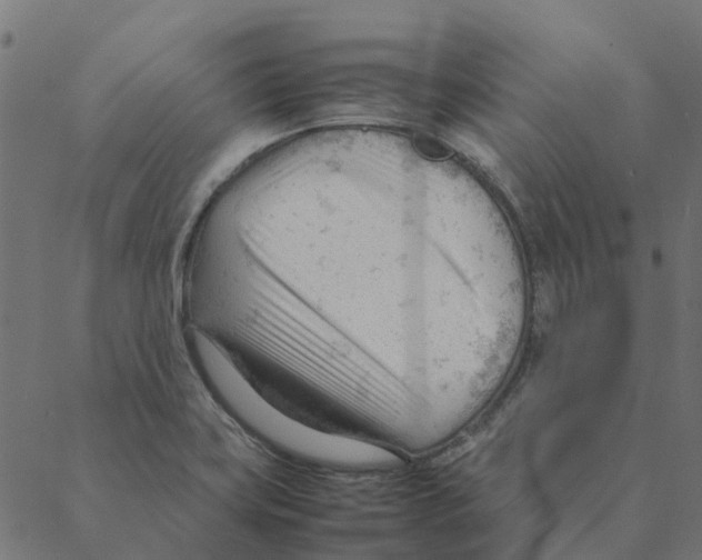 X0000087391419200705181256