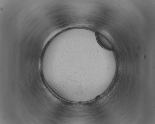 X0000087391420200705181256