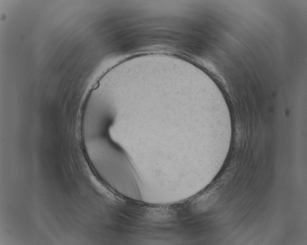 X0000087391421200705181256