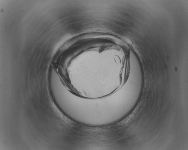 X0000087391422200705181256