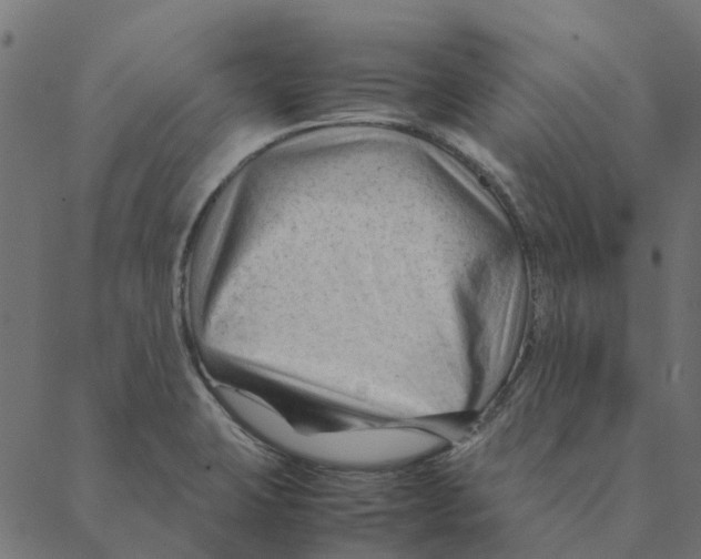 X0000087391423200705181256