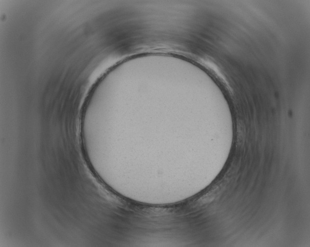 X0000087391424200705181256