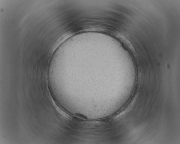 X0000087391425200705181256