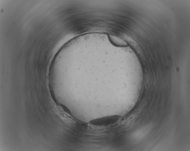 X0000087391427200705181256