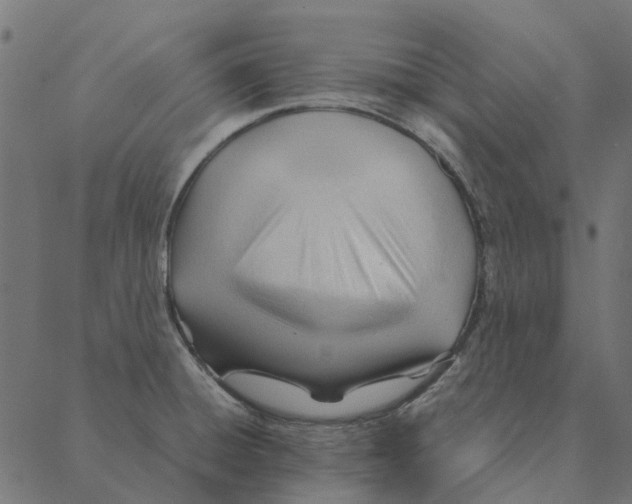 X0000087391428200705181256