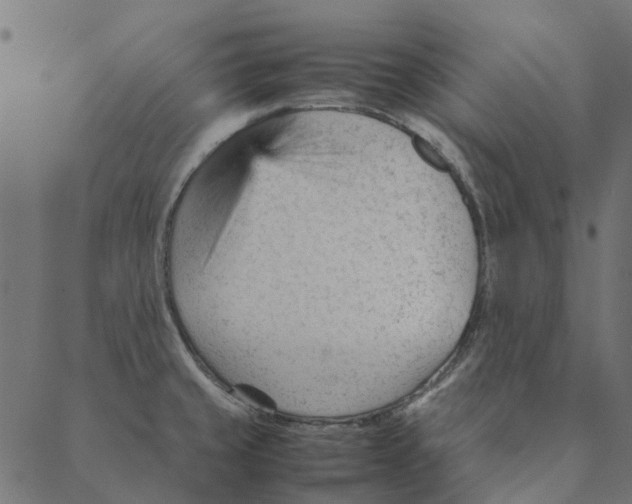 X0000087391429200705181256