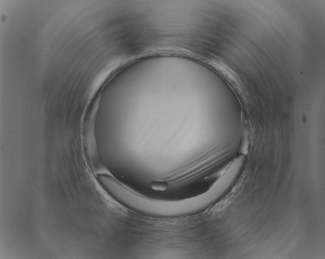 X0000087391430200705181256