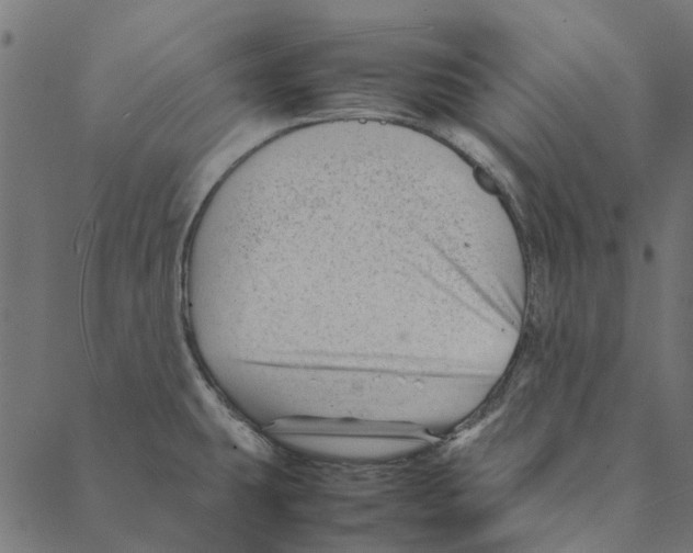 X0000087391431200705181256