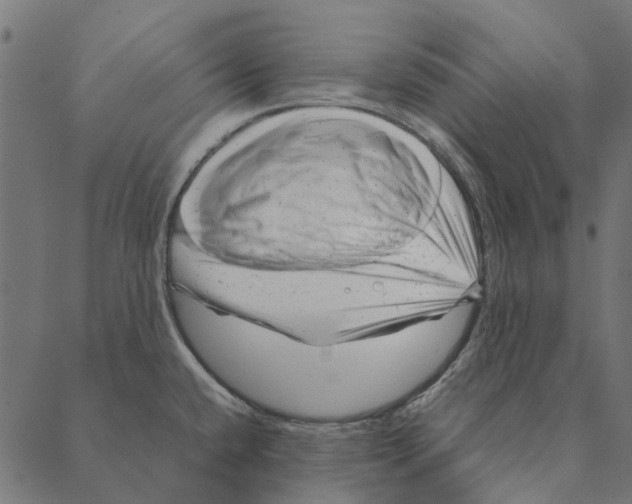 X0000087391432200705181256