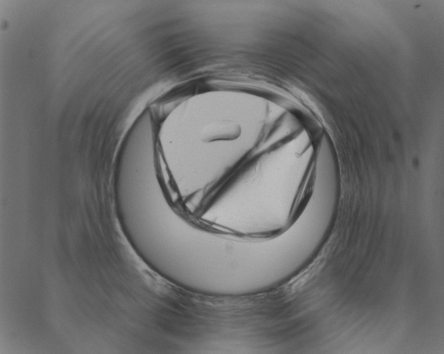 X0000087391434200705181256