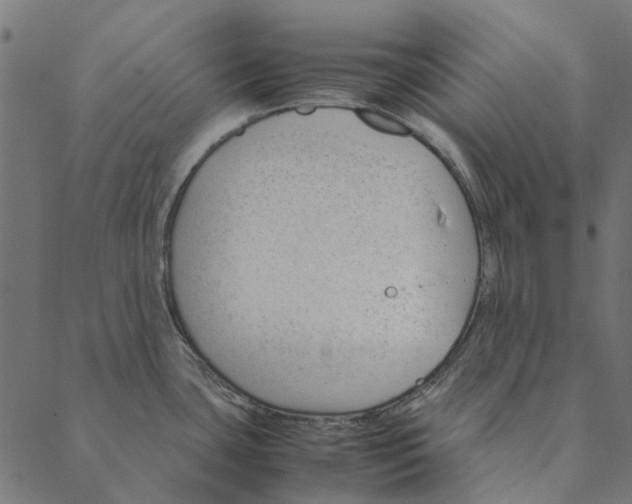 X0000087391435200705181256