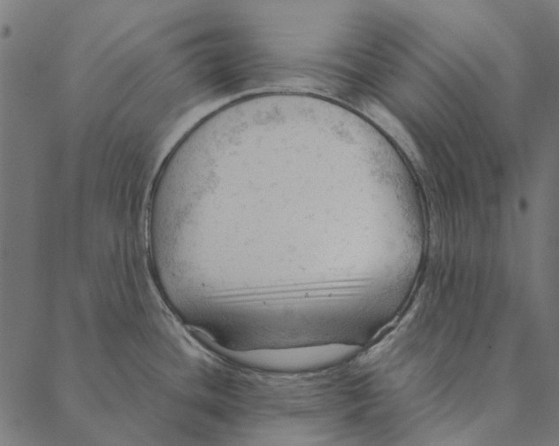 X0000087391436200705181256