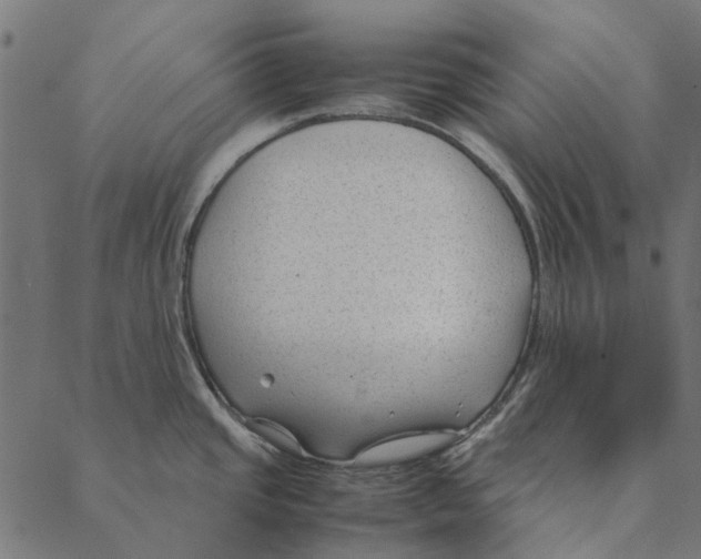 X0000087391437200705181256