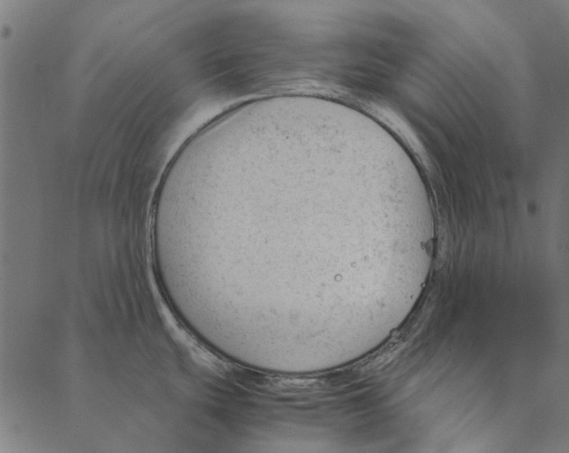 X0000087391439200705181256