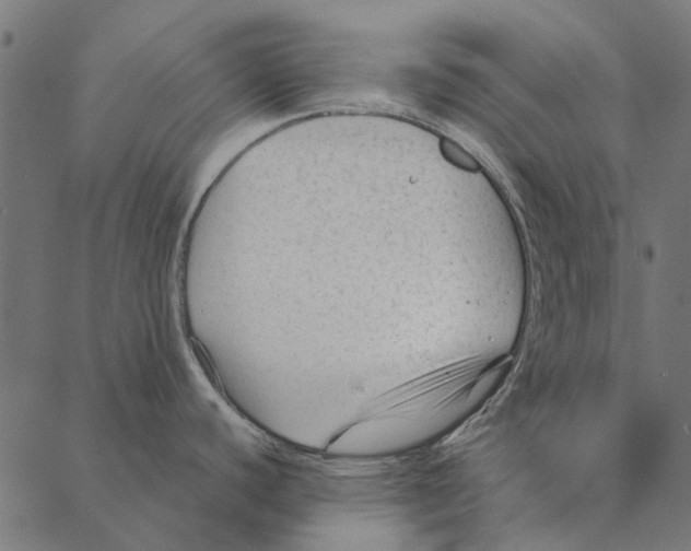 X0000087391440200705181256