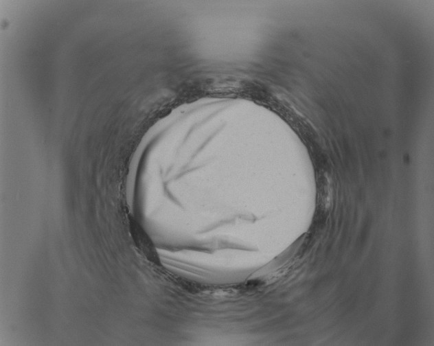 X0000087391441200705181255