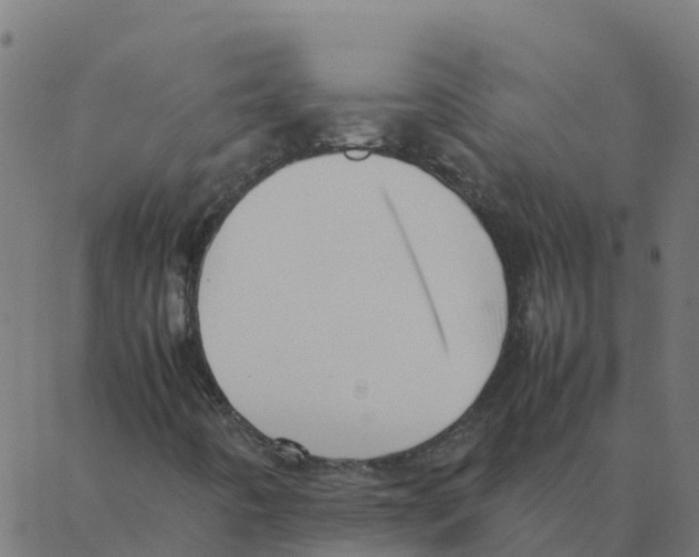 X0000087391442200705181255