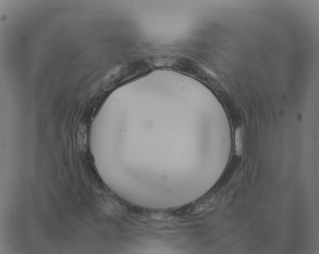 X0000087391443200705181255