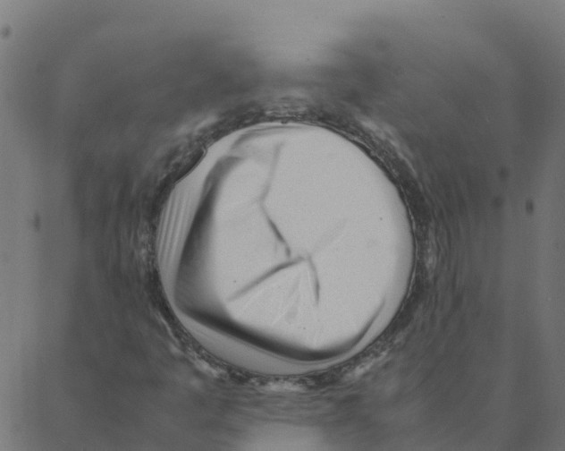 X0000087391445200705181255