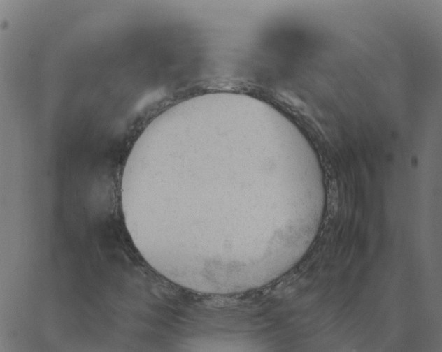 X0000087391446200705181255