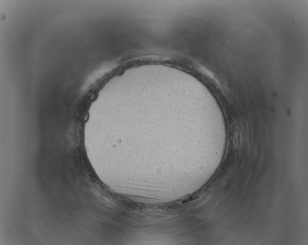 X0000087391448200705181255