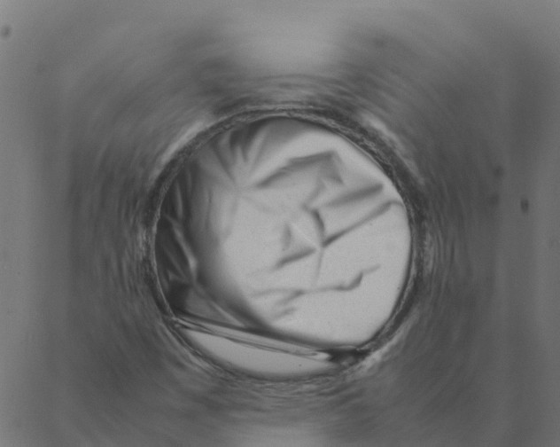 X0000087391449200705181255