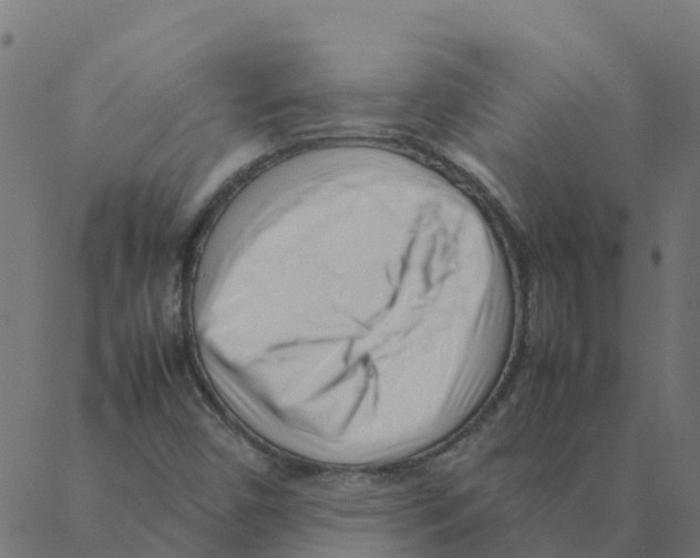 X0000087391450200705181255