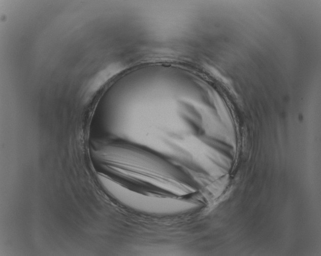 X0000087391453200705181255